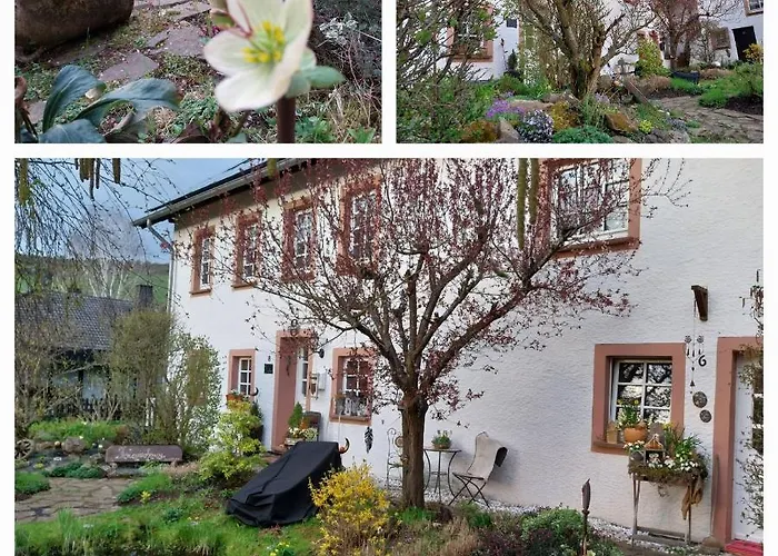 Zum Jehoeschnis * Gerolstein